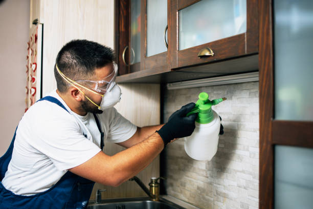 Best Affordable Pest Control Services  in Hudson, IL