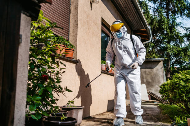 Wildlife Control Services in Hudson, IL