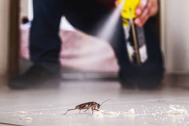 Best Mosquito Control Services  in Hudson, IL