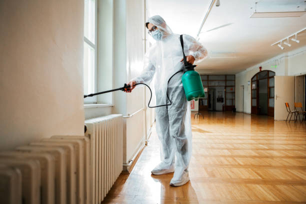 Best Pest Removal Services  in Hudson, IL