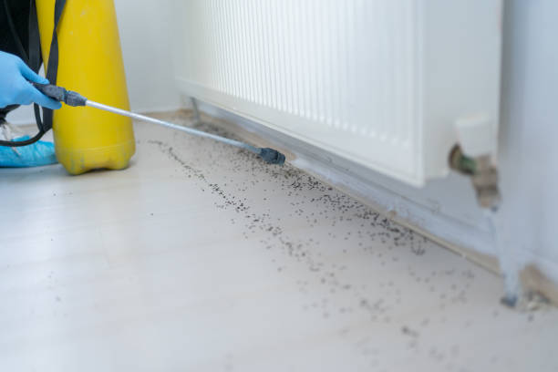 Best Exterminator Services  in Hudson, IL