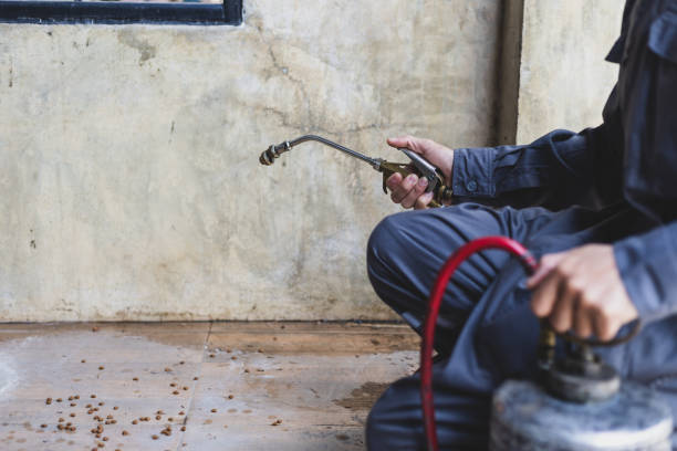Best Rat Extermination Near Me  in Hudson, IL